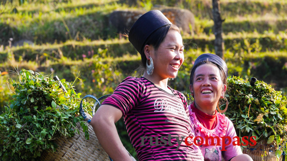 Fewer Hmong in villages around Sapa seem to be wearing the traditional costume. Fewer Hmong in villages around Sapa seem to be wearing the traditional costume.